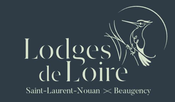 Lodge De Loire - B & B Proche Chambord Saint-Laurent-Nouan Exterior foto